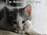 I'm thinking about you