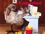IT department