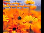 Избери себе друга...