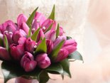 Join us for  our wedding celebration!
