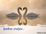Juntos mejor...