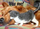 kiss me!