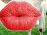 Kiss me!