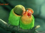 Kiss me!
