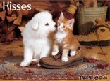 Kisses
