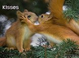Kisses