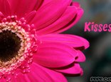 Kisses
