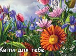 Квіти для тебе