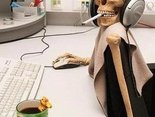 lavoratore dell'anno