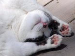 Lazy weekend