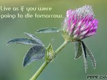 Live as if you were going to die tomorrow.