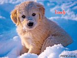 Lonely
