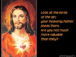 Look at the birdas of the air; your heavenly father feeds them. Are you not much more valuable than they?