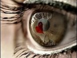 Look into my eyes!
