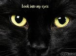 Look into my eyes