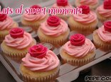 Lots of sweet moments