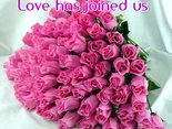 Love has joined us