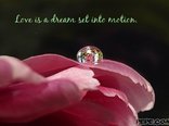 Love is a dream set into motion.
