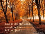 Love is like the wind, you do not see it, but you feel it