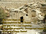 May Lord bless you on This auspicious day of Easter...