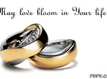 May love bloom in Your life