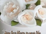May love bloom in your life