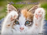 ¿Me podrías abrazar?