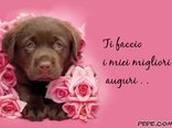 Migliori Auguri