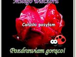 Miłego wieczoru , pozdrawiam gorąco