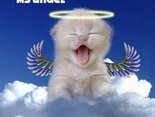 My angel