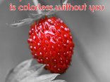 My world is colorless without you