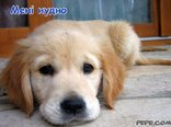 Мені нудно