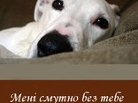 Мені смутно без тебе