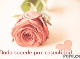 Nada sucede por casualidad