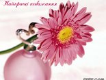Найкращі побажання