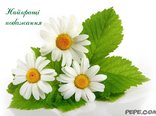 Найкращі побажання