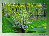 Найкращі привітання