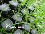 Напиши мені