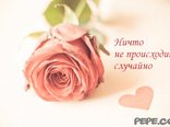Ничто не происходит случайно