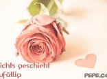 Nichts geschieht zufällig