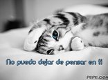 No puedo dejar de pensar en ti