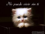 No puedo vivir sin ti
