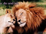 Nur du und ich