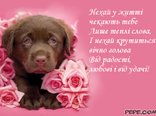 Нехай у житті  чекають тебе...