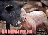 Обійми мене