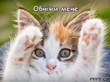 Обніми мене