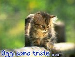 Oggi sono triste... 