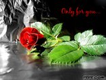 Only for you