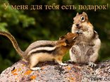 Смешные любовные открытки фото Смешные любовные открытки фото