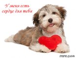 У меня есть сердце для тебя